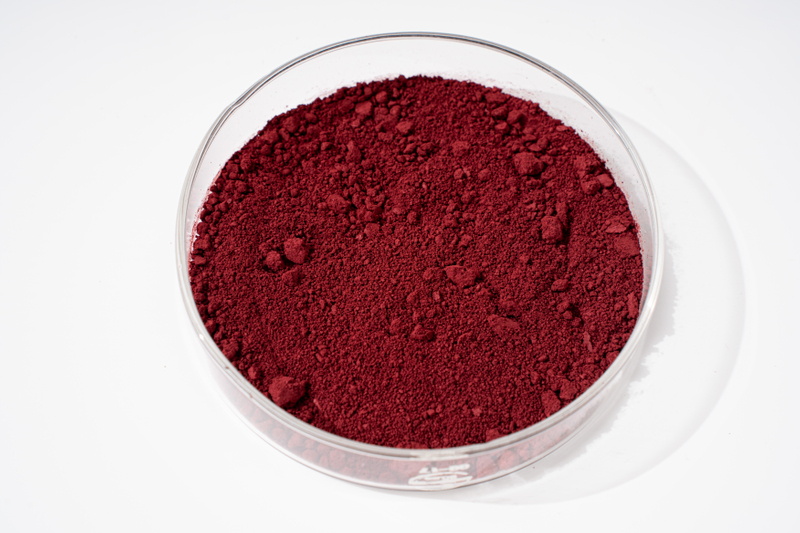 Pyrroloquinoline Quinone (PQQ)
