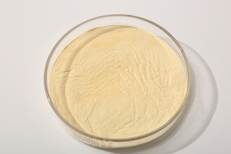 Modified Citrus Pectin Powder